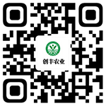 28圈(中国)官方网站
